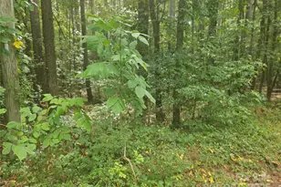 1940 Orrs Station Rd, Chester, SC 29706 - Photo 1