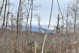 0000 Lot 78 Black Bear Crossing, Elk Park, NC 28622 - Photo 1