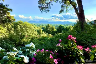 305 Piney Mountain Dr, Asheville, NC 28805 - Photo 1