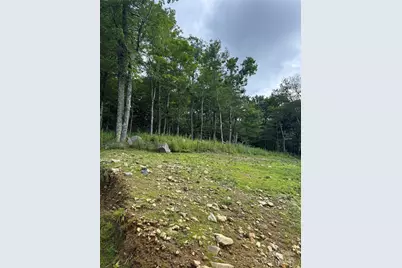 Lot 108 Buena Vista Loop, Sugar Mountain, NC 28604 - Photo 1