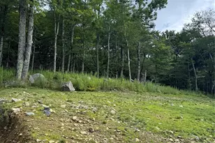 Lot 108 Buena Vista Loop, Sugar Mountain, NC 28604 - Photo 1