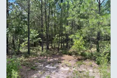 0000 Feather Run Road, Kershaw, SC 29067 - Photo 1