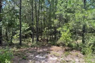 0000 Feather Run Rd, Kershaw, SC 29067 - Photo 1