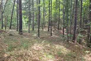 Lot 278 Scenic Vista Dr, Nebo, NC 28761 - Photo 1