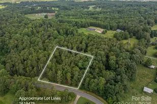 Lot 11 McDade Rd, Forest City, NC 28043 - Photo 1