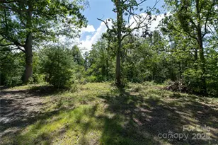 99999 Union Chapel Rd, Weaverville, NC 28787 - Photo 1