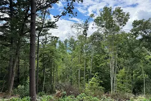 44 Stanley Hollow Rd, Weaverville, NC 28787 - Photo 1