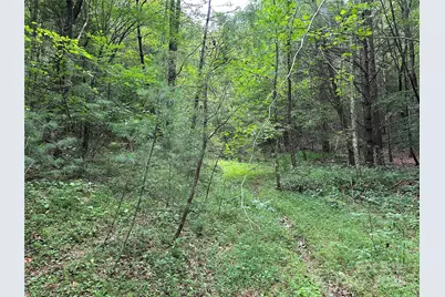 00 Benny Parsons Road, Millers Creek, NC 28651 - Photo 1