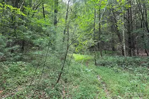 00 Benny Parsons Rd, Millers Creek, NC 28651 - Photo 1