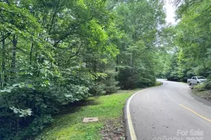 29 Wood Haven Ln, Black Mountain, NC 28711 - Photo 1