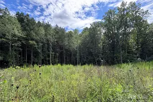 310 Ponderosa Rd, Stanley, NC 28164 - Photo 1