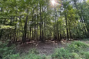 Lot 10 Duck Creek Farms Duck Creek Ln, Indian Trail, NC 28079 - Photo 1