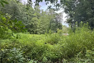 302 Wilson Cove Rd, Swannanoa, NC 28778 - Photo 1