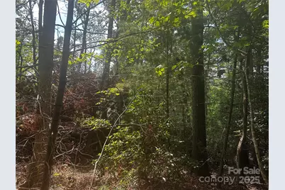 00 Rabbit Hop Road, Spruce Pine, NC 28777 - Photo 1