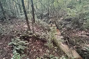 202 Tobe Bridge Rd, Kings Mountain, NC 28086 - Photo 1