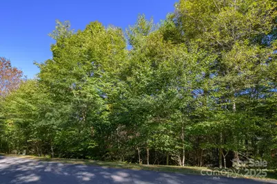 Lot 37 White Fox Lane, Banner Elk, NC 28604 - Photo 1