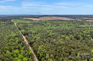 0000 Green Rd, Lancaster, SC 29720 - Photo 1