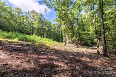 0 School House Road, Pisgah Forest, NC 28768 - Photo 1