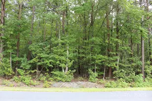 0 Morgan Rd, Gold Hill, NC 28071 - Photo 1