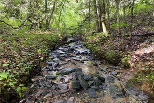 4665 Painters Gap Rd, Union Mills, NC 28167 - Photo 1