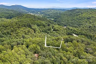 9999 Lobdell Rd, Pisgah Forest, NC 28768 - Photo 1