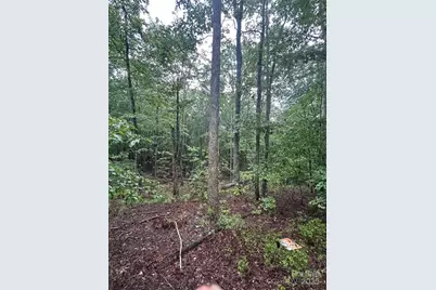 90 Adirondack Trail #88, Nebo, NC 28761 - Photo 1