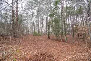 0 Rainbow Rapids Rd, Rutherfordton, NC 28139 - Photo 1