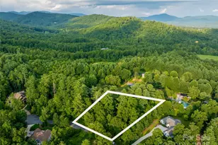 407 Melnick Terrace, Asheville, NC 28803 - Photo 1