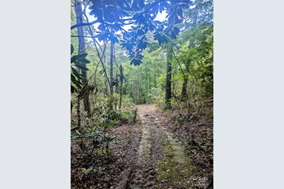 99999 Richard Lane, Black Mountain, NC 28711 - Photo 1