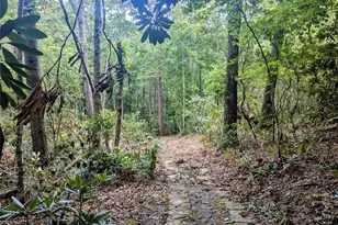 99999 Richard Ln, Black Mountain, NC 28711 - Photo 1