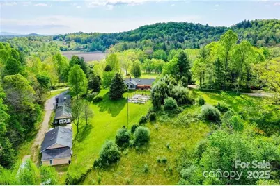 733 & 769 Gash Road, Mills River, NC 28759 - Photo 1