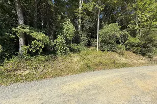 V/L Bulling Creek Rd, Hendersonville, NC 28739 - Photo 1