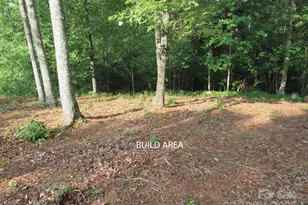 3125 Bear Paw Ave NW, Valdese, NC 28690 - Photo 1