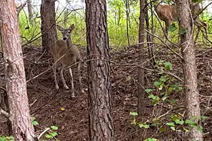 4 & 6 Waterford Ct, Granite Falls, NC 28630 - Photo 1