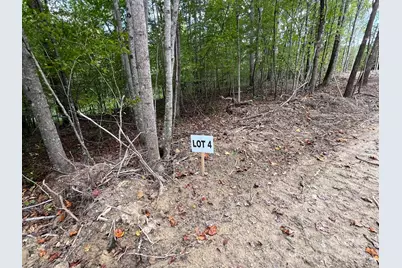 V/L W V Thompson Road #4, Rutherfordton, NC 28139 - Photo 1