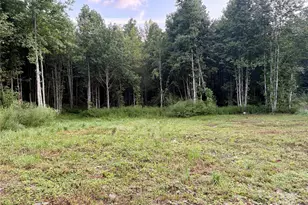 0 Campbell Creek Rd, Robbinsville, NC 28771 - Photo 1