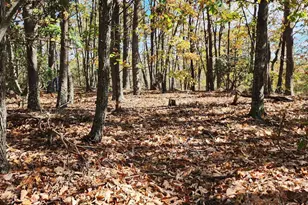 0 Mountain Lookout Dr, Bostic, NC 28018 - Photo 1