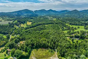 223 Deer Path Ln, Asheville, NC 28806 - Photo 1