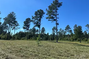 2 20 Ac Harmony Church Rd, Edgemoor, SC 29712 - Photo 1