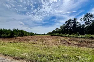 Lots E1 - E4 Industrial Park Rd, Lancaster, SC 29720 - Photo 1