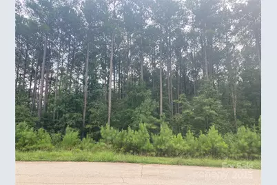 6359 Chimney Bluff Road, Lancaster, SC 29720 - Photo 1