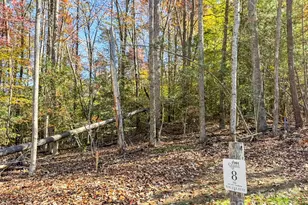 000 Nature Walk Ln, Hendersonville, NC 28739 - Photo 1