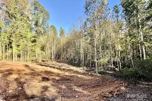 0 Tanglewood Dr, East Spencer, NC 28144 - Photo 1