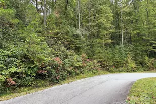 Tdb Fern Cove Ln, Pisgah Forest, NC 28768 - Photo 1