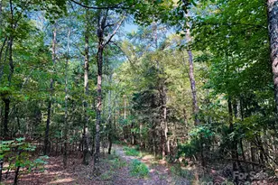 1123 Forneyville Rd, York, SC 29745 - Photo 1