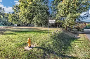 99999 Mineral Springs Rd, Asheville, NC 28805 - Photo 1
