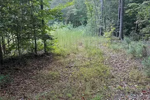 00 Riddle Mill Rd, Clover, SC 29710 - Photo 1