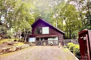 367 Biodome Dr, Waynesville, NC 28785 - Photo 1