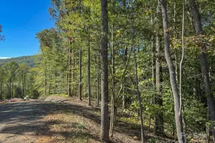 000 Reserve Way, Hendersonville, NC 28739 - Photo 1