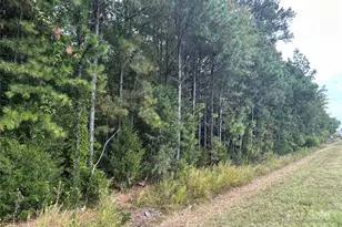 4 3 Ac Lancaster Hwy Hwy, Chester, SC 29706 - Photo 1